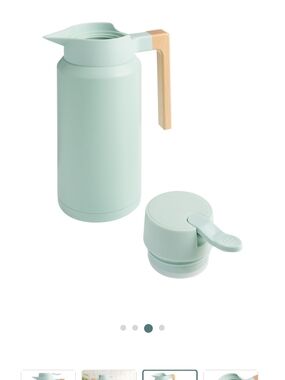 Cost Plus World Market Mint Green Insulated Pitcher with Wood-Tone Handle